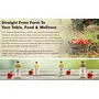 Farm Naturelle-Organic Apple Cider Vinegar with Mother & Ingredients Infused Ginger & Garlic | 500ml In Glass Bottle, 5 image