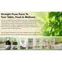 Farm Naturelle- 100 % Pure The Finest Aloevera Juice with Extra Fiber 400Ml 1+1 Free( Pack of 2) and Free Honey 55g x 2, 6 image