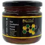 Farm Naturelle - Raw 100% Natural (NMR Tested Passed Certified) Eucalyptus (Forest) Flower Honey - (450Gms) Glass Bottle.