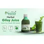 Farm Naturelle – 100 % Pure Herbal Giloy Juice Enhances Body 400Ml 4+4 Free ( Pack of 8) and Free Honey 40g x 8, 5 image