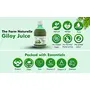 Farm Naturelle – 100 % Pure Herbal Giloy Juice Enhances Body 400Ml 4+4 Free ( Pack of 8) and Free Honey 40g x 8, 6 image