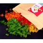 Leeve Dry Fruits Brand Fresh Cake Mix Multi colors Tutti Frutti Packet 800g, 5 image