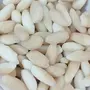 Shadani Coconut Sweet  Kesri  Peda 200g-Triplr Combo-Pack., 4 image