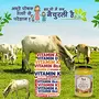 GAU AMRITAM Desi kankrej Cow Vedic A2 Jain Maryadit Ghrit (Ghee) 500gr, 6 image