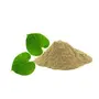Devbhoomi Naturals Pure and Natural Neem Trees Giloy Powder/Gaduchi Powder ~ Immunity Booster 100gm, 3 image