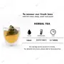 USDA Organic Tulsi Ginger Turmeric Herbal Tea for Good Health good health and Skin Health - 1 Teabox ( 18 Pyramid Tea Bags ), 5 image