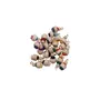 Melted Bone Multicolour handmade beads with golden hook | Tussle Beads