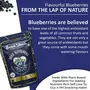 SnackAmor Dried Blueberry | NON - GMO | High Antioxidant | Great for Salad | Ready To Eat Super food | Healthy Diet Snacks (Pack of 2), 3 image
