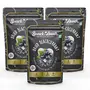 SnackAmor DRIED BLACKCURRANT PACK OF 100 G| High in Anti-Oxidant Non-GMO Natural Dehydrated Whole Blackcurrants Everyday Nutrition Healthy & Tasty | Seedless Black Raisins (Pack of 3)