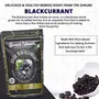 SnackAmor DRIED BLACKCURRANT PACK OF 100 G| High in Anti-Oxidant Non-GMO Natural Dehydrated Whole Blackcurrants Everyday Nutrition Healthy & Tasty | Seedless Black Raisins (Pack of 3), 5 image