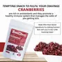 SnackAmor Ready to Eat Dried Cranberry Healthy Snack for Kids and Adults Immunity Booster  Non-GMO 100% Vegetarian Product (100 G Each Pack of 1), 5 image