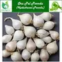 Valli Organics Oru Pal Poondu | Single Clove Garlic | Ek Kal Lehsun 100gm, 2 image