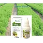 Concentrated Stevia Extract Liquid  - 20 ML each (Pack of 2) - Organic Certified, 6 image