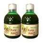 Farm Naturelle  Kalp Amrit Ras Herbal  Juice Box - 100 % Pure & Natural (Pack Of 2) - 800 ML (27.05oz), 2 image
