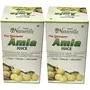 Strong Amla/Gooseberry Herbal Juice - 100 % Natural 400 ML X 2