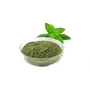 Agri Club Agri Essential Dry Mint Powder (1 Kg), 3 image