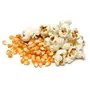 Agri Club Agri Essential Popcorn Kernals Seed (2 Kg), 3 image