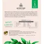 Mint Leaves Herbal Infusion (Pyramid Infusion Bags-5), 3 image
