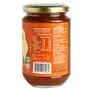 Woh Hup Plum Sauce Combo - Indian Fruit Sauce 400 Gm - Pack of 4, 2 image