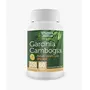 Bhumija Lifesciences Garcinia Cambogia Capsules 60's (Pack of Two)