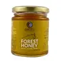 Dhatu Organics Forest Honey 250ml