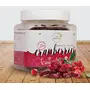 Premium Dried Cranberries / cranberry 300gm ( 10.58 oz), 2 image