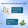 Himalaya Anti-Dandruff Hair Oil | Non Sticky Hair Oil | Removes Dandruff | Provides Scalp Nourishment | Made with Tea Tree Oil Neem & Rosemary | For Women & Men | 200 ML, 3 image