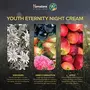 Himalaya Youth Eternity Night Cream 50 ML, 3 image