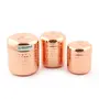 Coconut Stainless Steel Container Set 3-Pieces Silver, 3 image