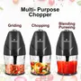 Pringle Electric Chopper | 600ml Capacity 250W | Mixer/Blender One Touch Operation | Twin Blade Technology | 1 min Non Stop Operation/Heavy Motor [ Black 1 Year Warranty ]- EC 904, 2 image