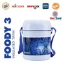 Trueware Foody 3 Lunch Box 3 Plastic Containers Tiffin Insulated Lunch Box Outer Plastic Body BPA Free|300 ml x 3- Mono Blue, 3 image