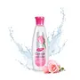 Dabur Gulabari Premium Rose Water with No Paraben for Cleansing and Toning 250ml