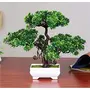 DecoratingLives Artificial Bonsai with Plastic Pot (Green 1 Piece)