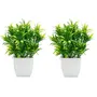 PUHUHP Artificial Beautiful Cute Mini Flower Plants with PlasticPot Green Grass Leaf Fake Topiaries Shrubs for Home Decor Washroom and Office Decor Christmas Diwali and Festive Decoration Set of 2