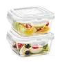 Borosil Klip - N - Store Microwavable Square Glass Dish with Lid - (Transparent 320 ml) Set of 2