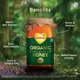 Saffola Wild Forest Organic Honey -500g -NMR Tested 100% Pure Wild Forest Organic Honey Brown, 3 image