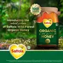 Saffola Wild Forest Organic Honey -500g -NMR Tested 100% Pure Wild Forest Organic Honey Brown, 2 image