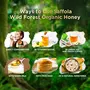 Saffola Wild Forest Organic Honey -500g -NMR Tested 100% Pure Wild Forest Organic Honey Brown, 5 image