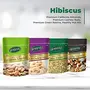 Happilo Dry Fruit Celebrations Gift Box Hibiscus 390g (California Almonds 80g Premium Cashews 80g Premium Raisins 150g & Healthy Nutmix 80g), 2 image