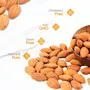 Nutraj 100% Natural Premium Whole Daily Almond 1kg (500gx2) Raw | Nutritious & Delicious California Badam Rich in Vitamin E & Manganese Dry Fruit, 5 image