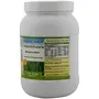 Herbal Hills Wheatgrass Tablets (900 Tablets), 2 image