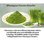 Herbal Hills Wheatgrass Powder | Certified Organic (100 gms Single Pack), 6 image