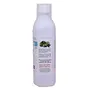 Herbal Hills Shots Livohills Liver Support Syrup 500 ml (Blueberry Flavour), 4 image