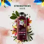 Herbal Essences bio:renew Strength Whipped cocoa butter conditioner 400ml, 6 image