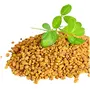 Herbal Hills Methi Seed Powder methi powder Fenugreek Powder (1 Kg Single Pack), 4 image