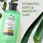 Herbal Essences Real Aloe & Bamboo Conditioner Sulfate and Paraben Free 400ML, 4 image