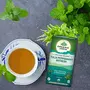 ORGANIC INDIA Tulsi Peppermint Refresh 25 Tea Bags || Stress Relieving & Rejuvenating || Feeling Refreshed || Tulsi Tea - 25 Tea Bags, 7 image