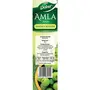 Dabur Amla Juice Immunity Booster -1 L, 6 image