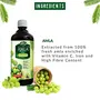 Dabur Amla Juice Immunity Booster -1 L, 3 image