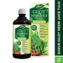 Dabur Giloy Neem Tulsi Juice: Benefit of 3-in-1 Immunity Boosters with the power of Giloy Neem and Tulsi|Pure Natural and 100% Ayurvedic Juice -1L, 3 image
